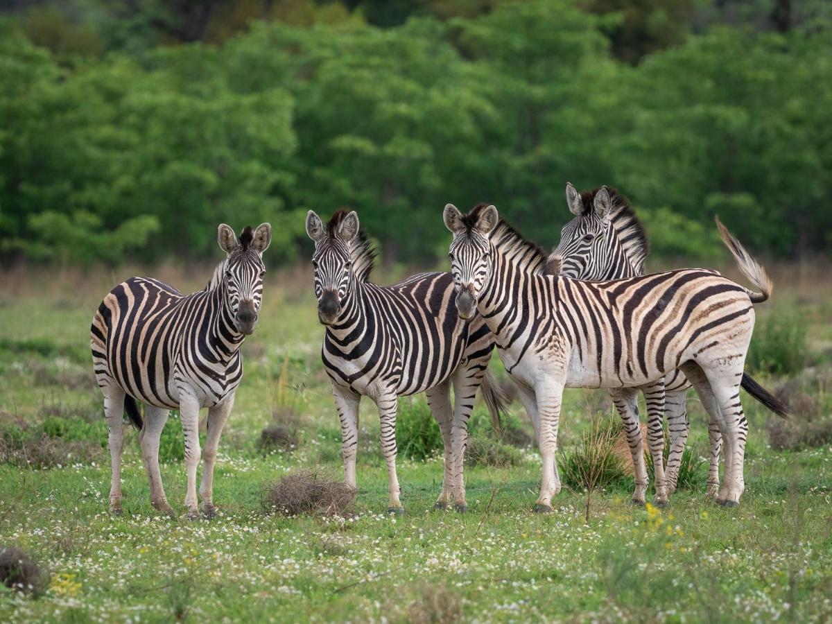 Sofala Lodge Mokopane Buitenkant foto